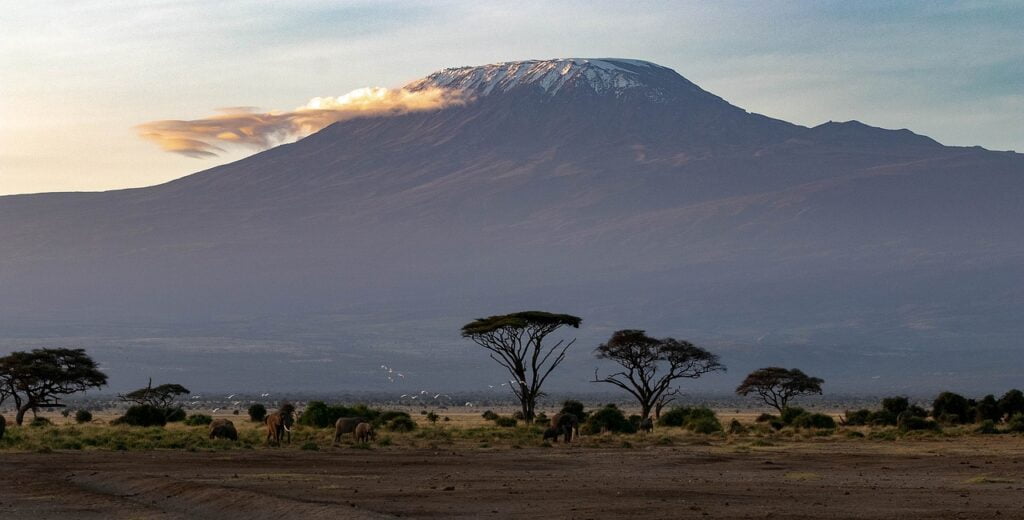 Trekking Mount Kilimanjaro: A Journey of a Lifetime 3 g7669813914a40b3bd78d35aaeba6477fbd81246511e4a99bdaff8617fb6e8c27f75669b2ed93709f8a484ea8dd350cc34d6dbae1d46ac919b20917c6028e757c_1280-4055169.jpg