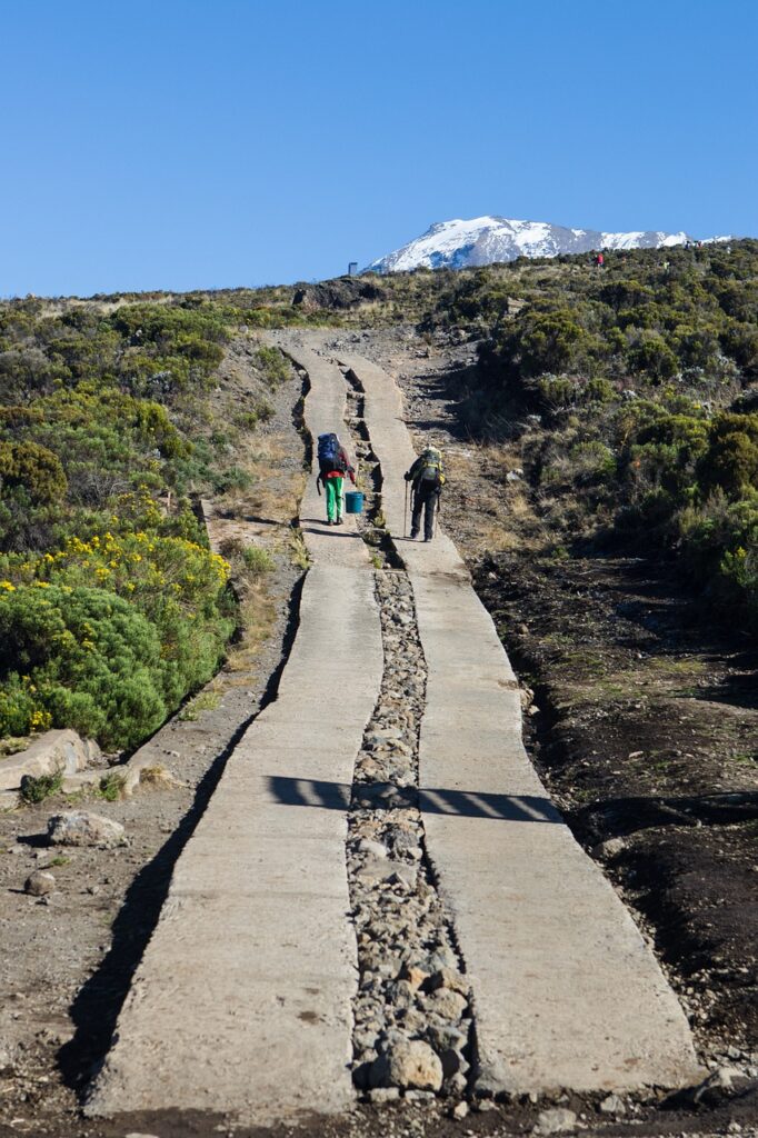 The Best Time to Trek in Tanzania: Seasonal Insights for a Successful Mountain Adventure 1 ge9fffc4dfbc33344bf9368e97691f5fd44400abcfa233a68ffac7063807246c0987833d725dab420b77d599f5190dc21c4a9dc9fe4299be95f453d8ab32524dc_1280-7312230.jpg