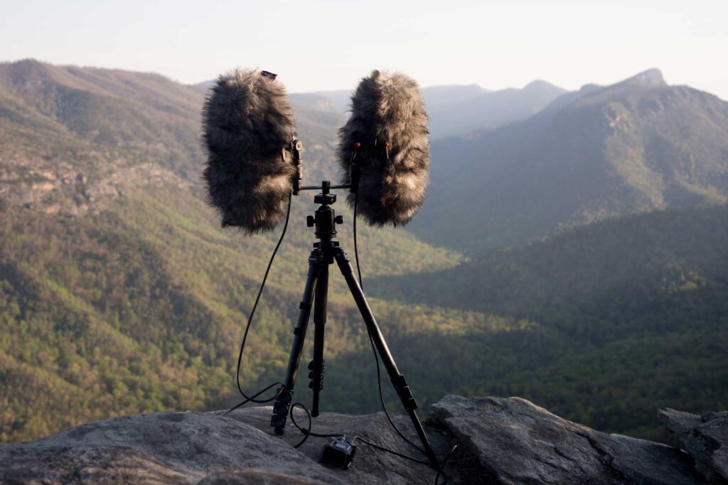 Capturing the Sounds of the Wild: Audio Recording Tips on Safari 1 JJB 1697