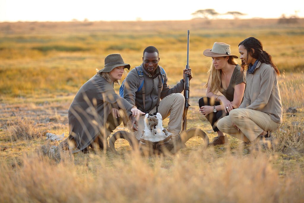 The Role of Guides in Enhancing Your Safari Experience 1 asilia adventures tz 2019 147 1 guide talking to guests about a buffalo skull jpg