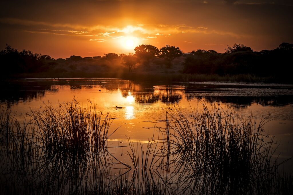 Unforgettable Safari Sunsets: Top Spots for Golden Hour 17 gdeaa6c084bb9d1dab28d913c8c46fe8f3979950da9d984c6e310ea4b4c54b36c4f766b7f13eba3d22ba6605cf8ca26cdb29958e803dc569399b9a411d111885f_1280-6650192.jpg