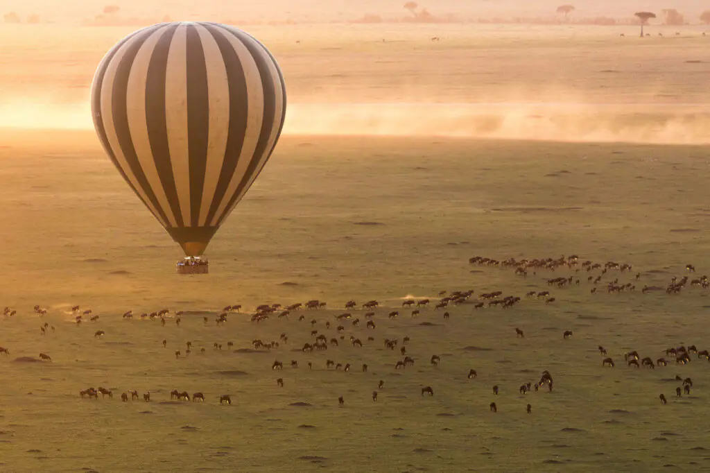 rhino africa luxury safaris hot air balloon ride in masai mara
