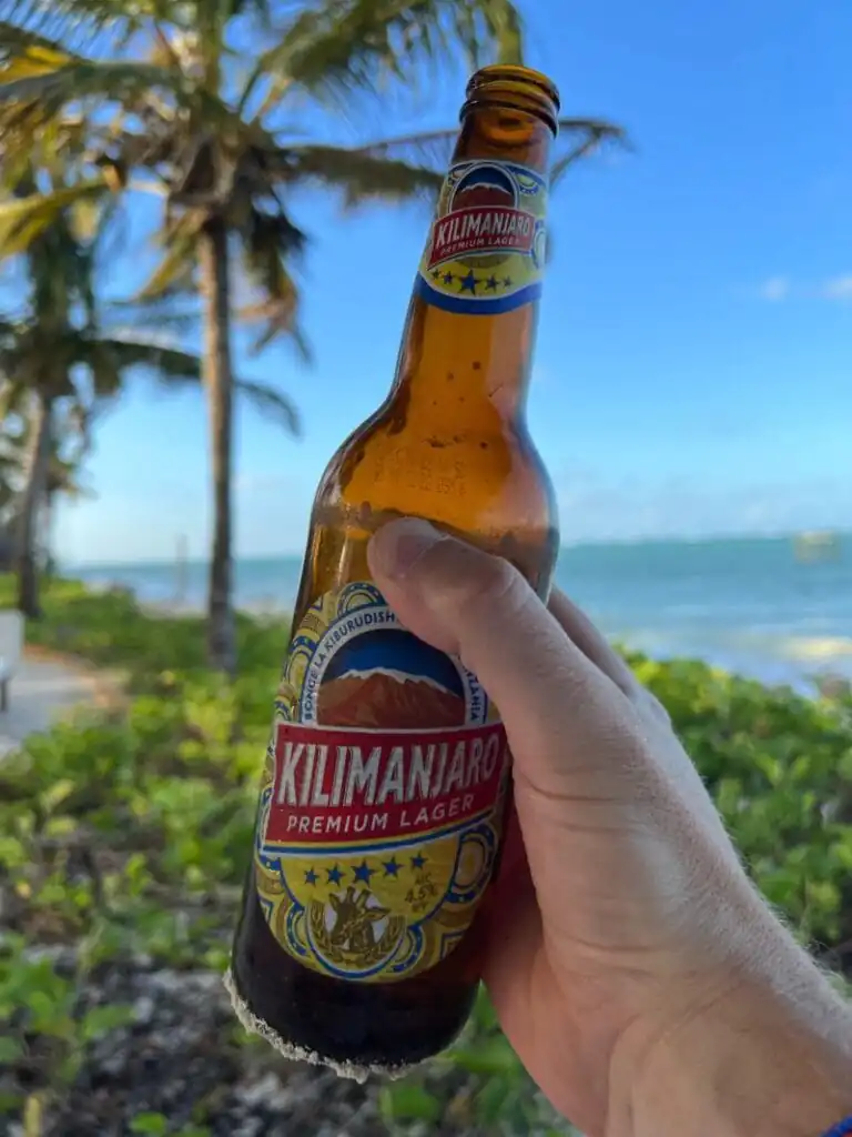 Tanzania’s Local Breweries and Craft Beers: A Tasting Tour 1 1656789792277