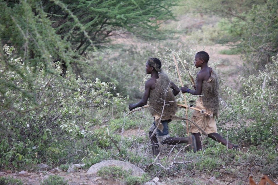 The Role of Indigenous Knowledge in African Wildlife Conservation 3 1 Xo1NKTc CnWgTF1GfJcb7w