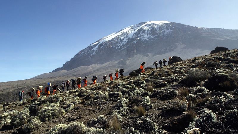 Trekking and Wellness: Enhancing Mental and Physical Health Through Trekking 4 806687nd porters on ridge