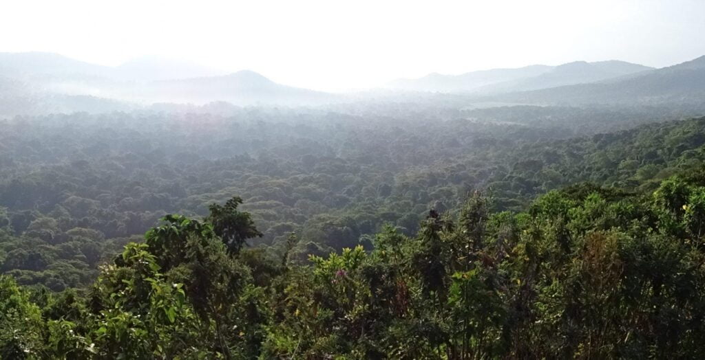 Mount Tongwe: An Off-the-Beaten-Path Trekking Experience in Tanzania 4 DSC02021 2000x1024 1