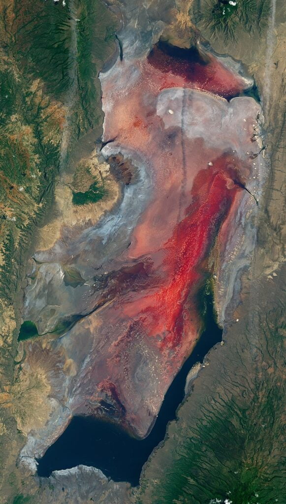 Discover Lake Natron: Tanzania’s Mysterious Alkaline Wonderland 1 Lake Natron Tanzania – 2017 03 06 very early in rainy season – satellite image cropped