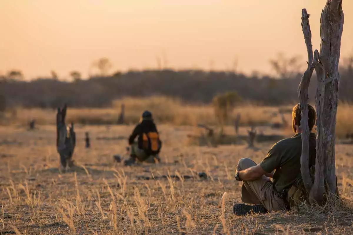 Digital Detox: Unplugging and Reconnecting with Nature in Tanzania 1 Mwaleshi Walking Camp Zambia