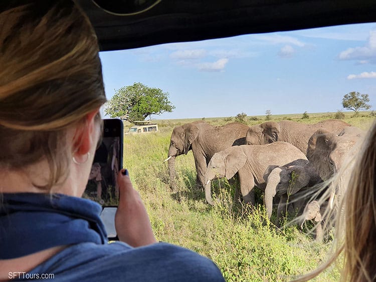 Women-Only Safaris: Empowering Female Travelers to Explore Africa’s Wild 3 Serengeti Tanzania21 196