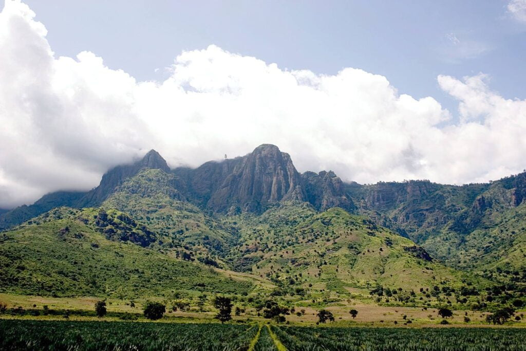 Usambara Mountains: Trekking Through Tanzania’s Green Paradise 3 West Usambara Mountains