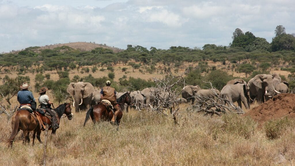 Horseback Safaris: Discover Tanzania’s Wilderness on Horseback 1 activiteit paardrijden tanzania 1920x1080 1