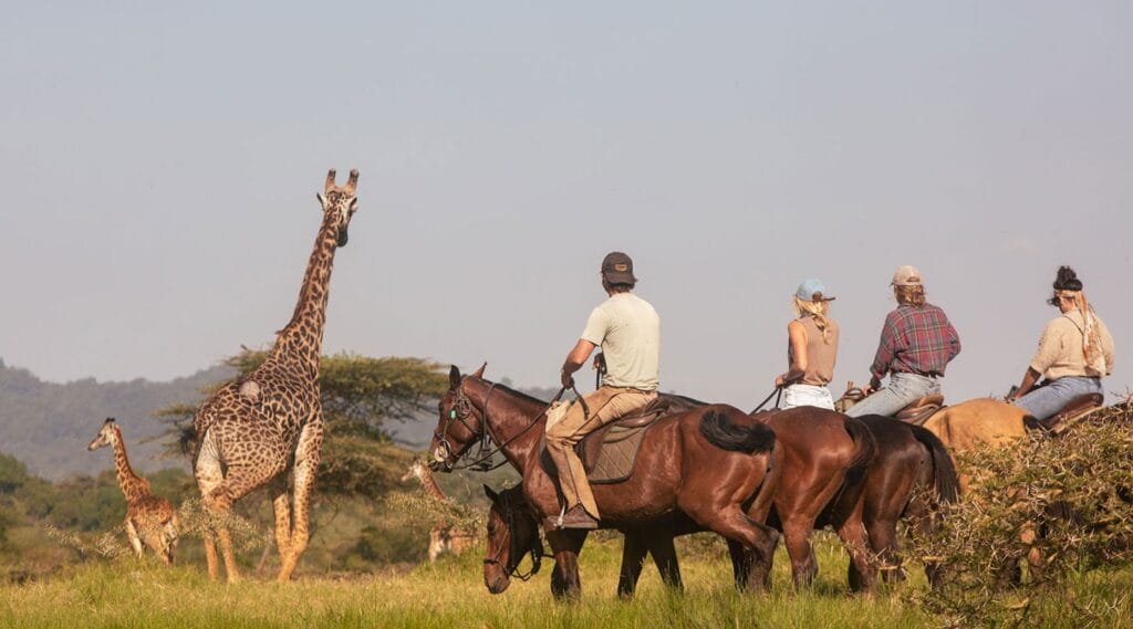 Horseback Safaris: Discover Tanzania’s Wilderness on Horseback 2 arusha thumb