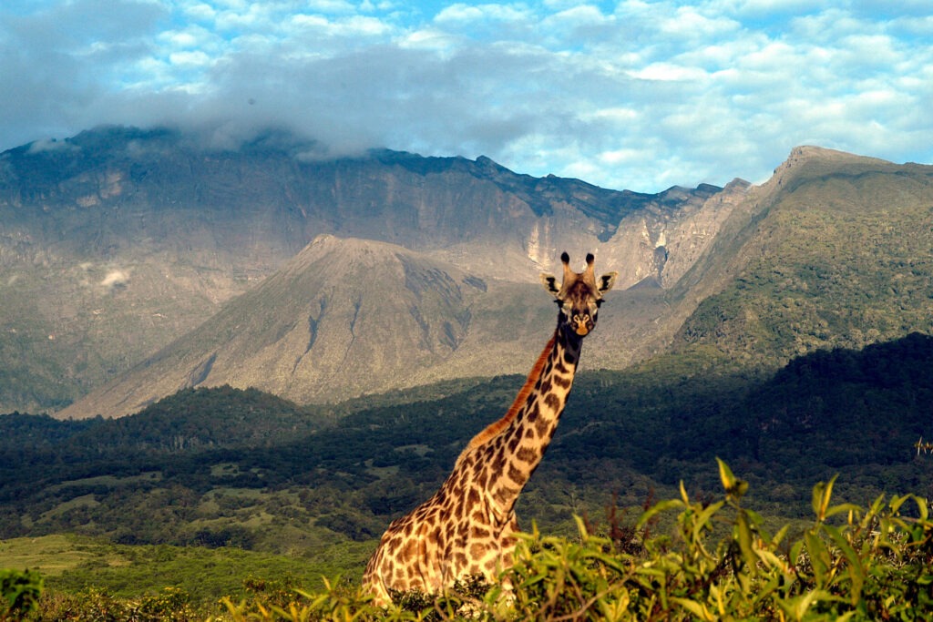 Arusha National Park: Trekking Amidst Wildlife and Scenic Landscapes 36 arusha np 1920x1280 1