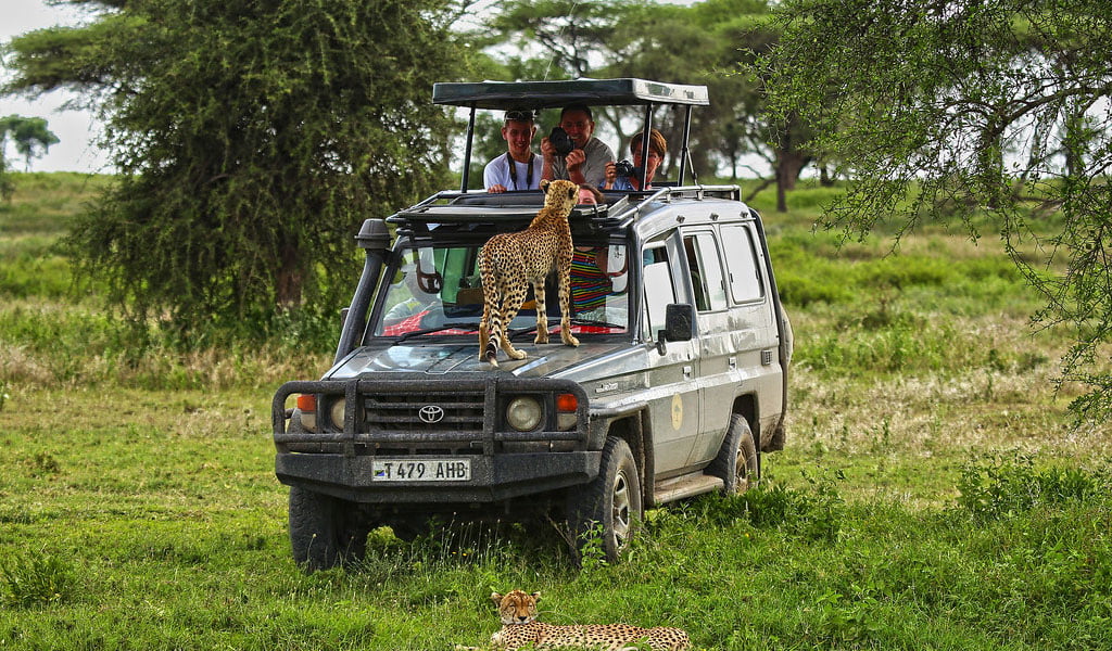 Eco-Friendly Transportation Options for Your Tanzanian Safari 3 car