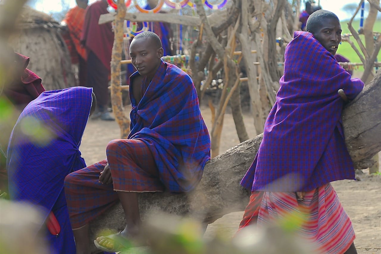 maasai, tribe, africa