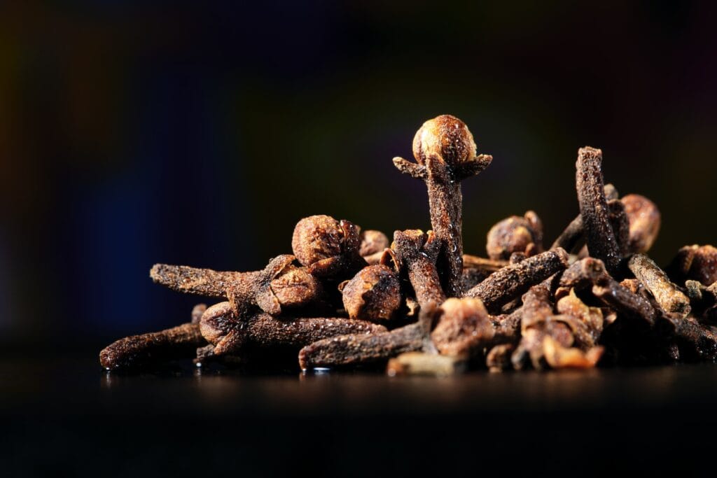 Zanzibar’s Spice Farms: A Journey Through the Island’s Aromatic History 3 k15 photos hXdZR0 GhQ4 unsplash