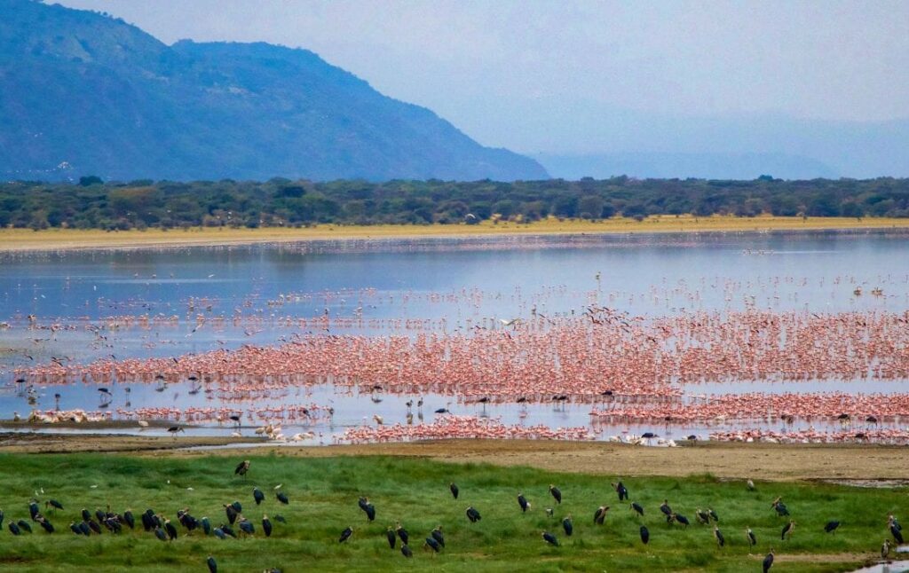 lake manyara 1 1110x700 1