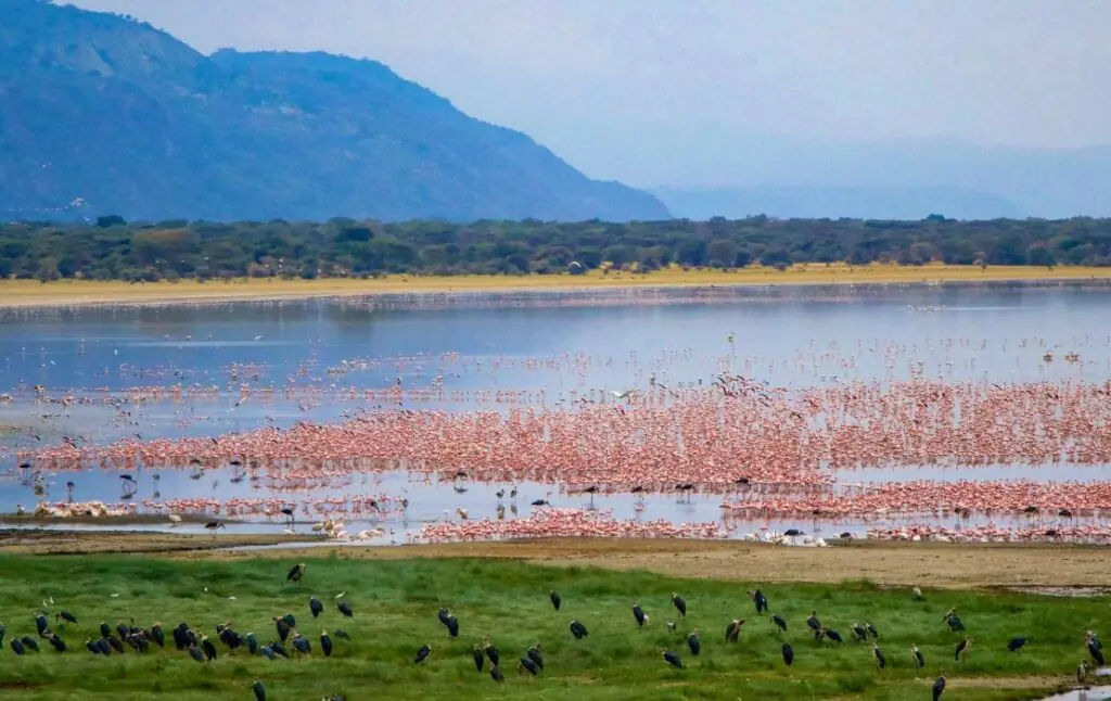 lake manyara 1 1110x700 1