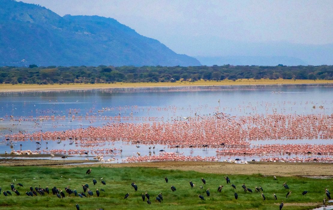 lake manyara 1 1110x700 1