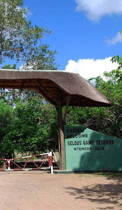 Discover Nyerere National Park (Formerly Selous): Tanzania’s Premier Wilderness Escape 1 park entrance fees nyerere national tanzania mobile