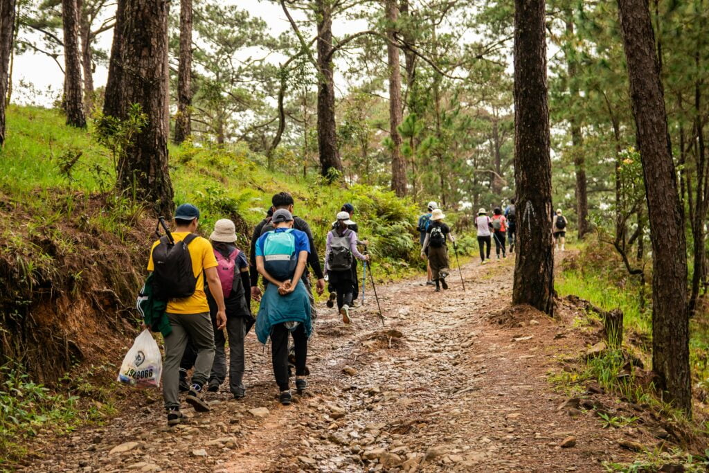 Eco-Friendly Transportation Options for Your Tanzanian Safari 1 pexels-photo-28184798-28184798.jpg