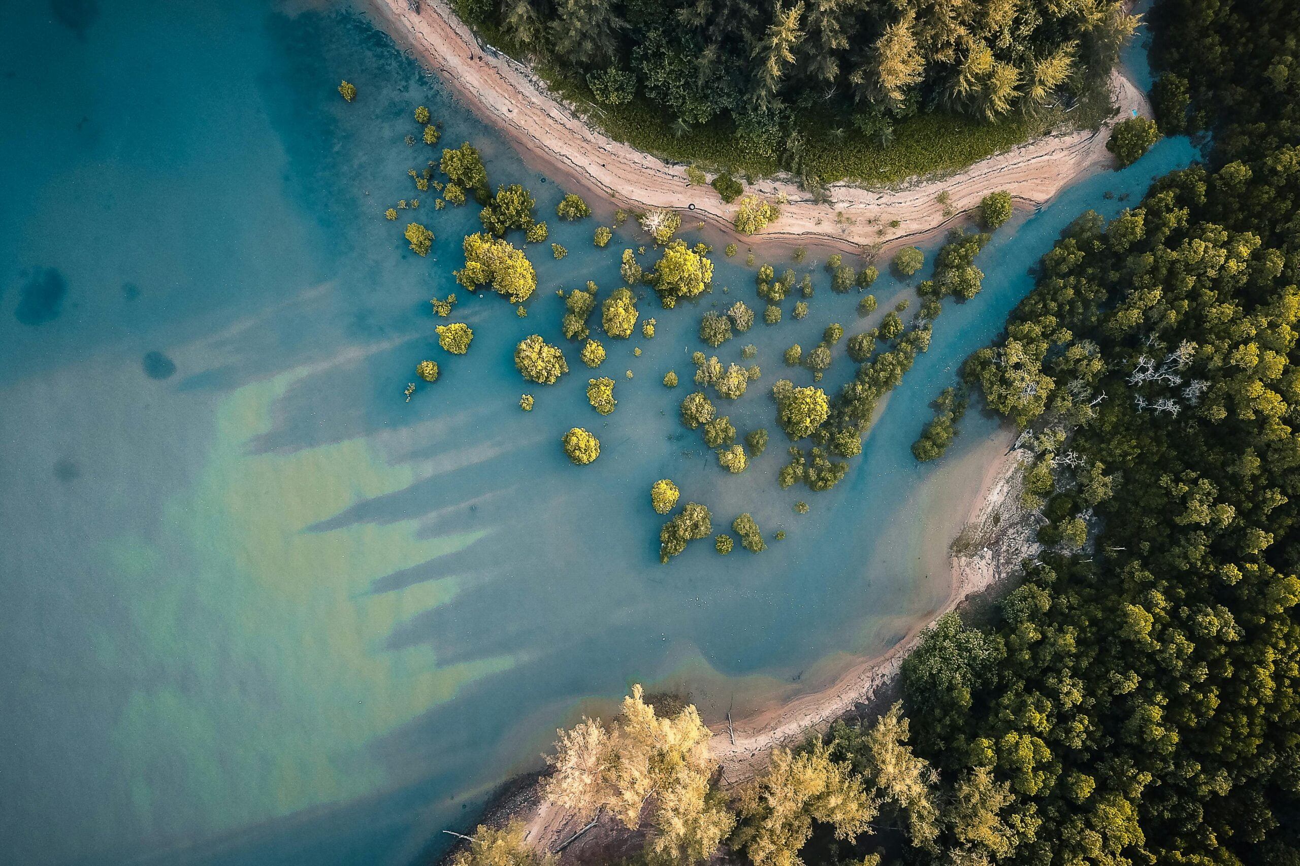 Picturesque landscape of sea surrounded with tropical vegetation