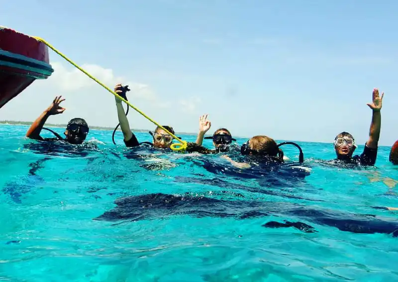 Diving in Zanzibar: The Best Reefs, Wrecks, and Marine Life to Explore 2 scuba diving africa