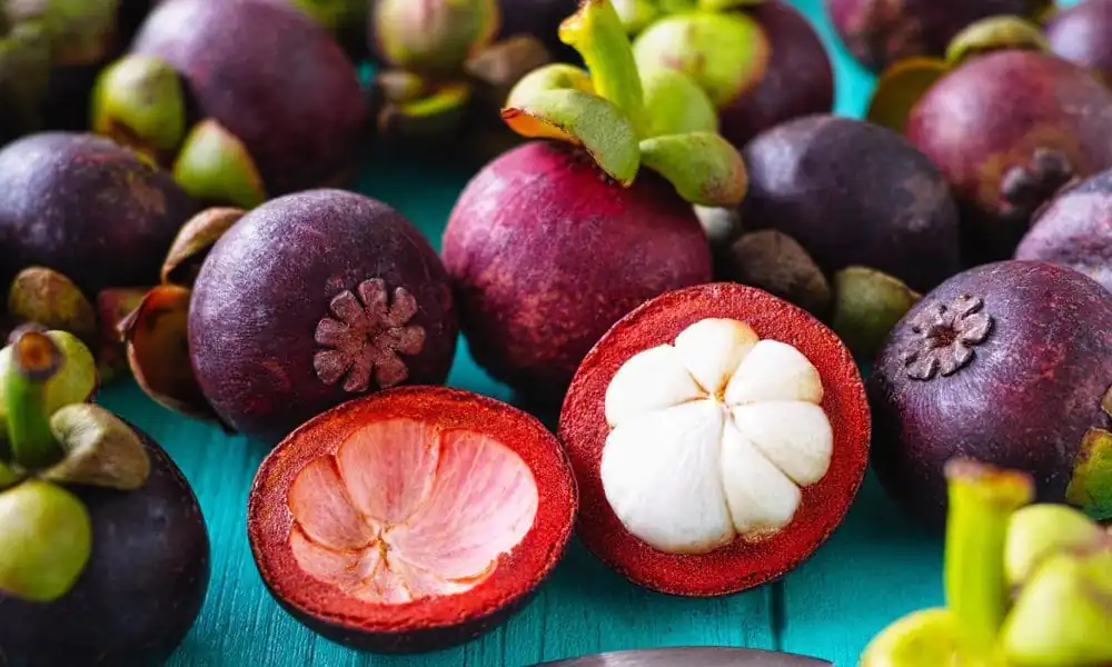 A Guide to Zanzibar’s Tropical Fruits: From Mangos to Jackfruit 3 Mangosteen
