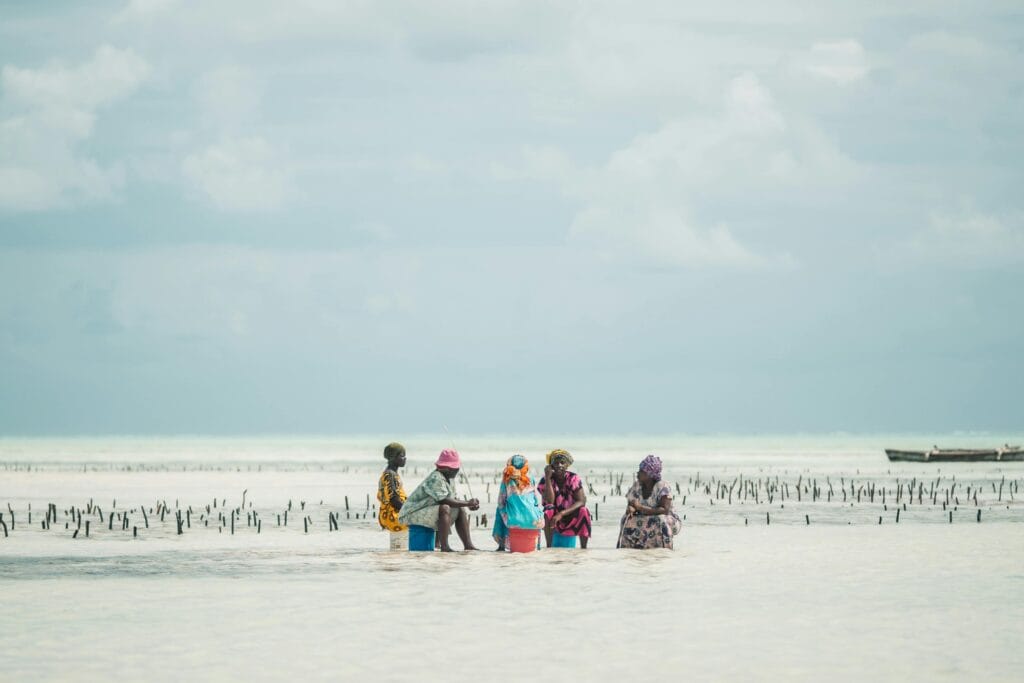 Seaweed Farming in Zanzibar: Empowering Women and Sustaining the Island’s Economy 11 Women on the Beach