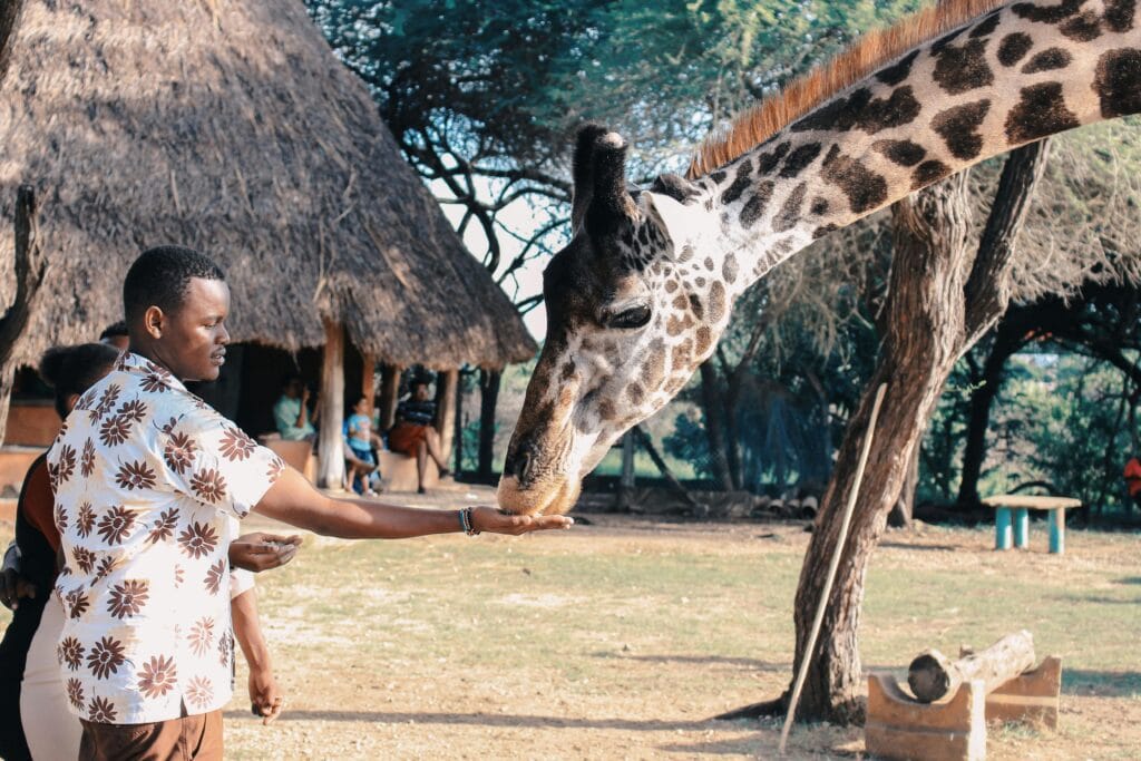 Why Choose Future African Safari: Our Commitment to Quality and Service 3 Person Feeding Giraffe