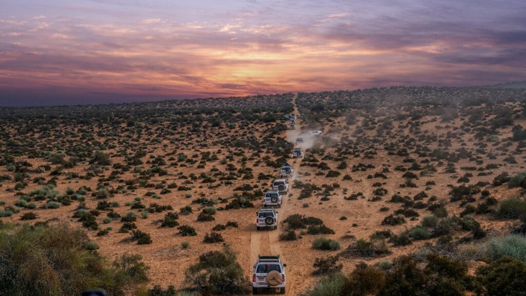 Top 10 Reasons to Experience a Safari with Future African Safari 21 Column of Off-road Vehicles on a Desert Road from a Birds Eye View