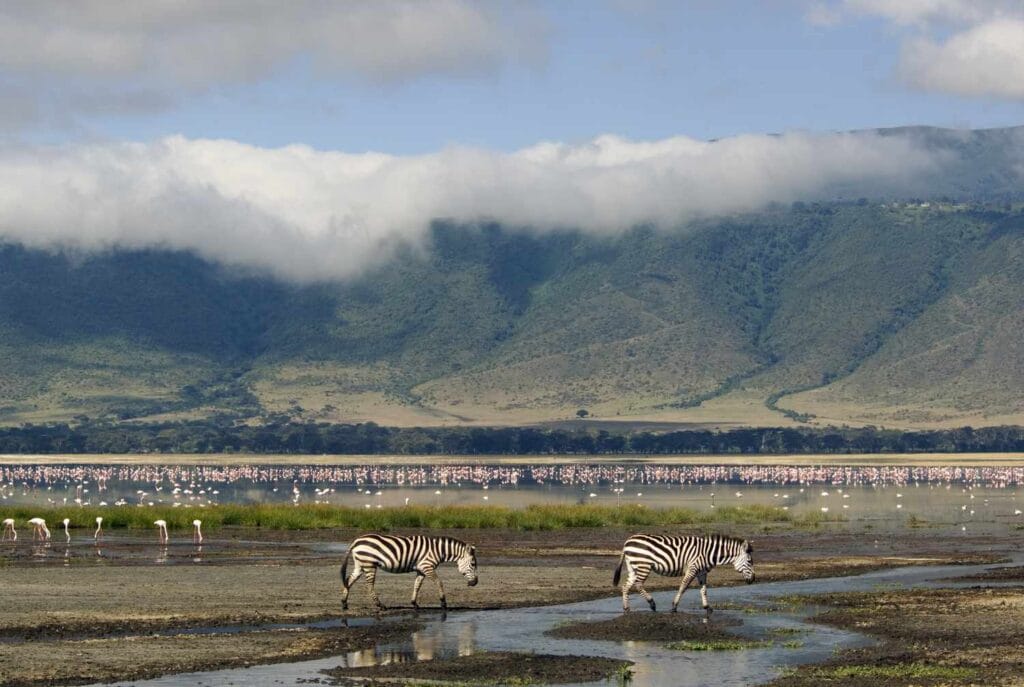 Ngorongoro Crater floor