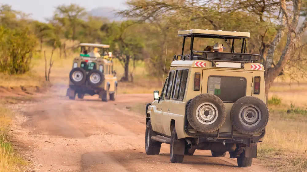 african safari closed 4WD vehicle 4