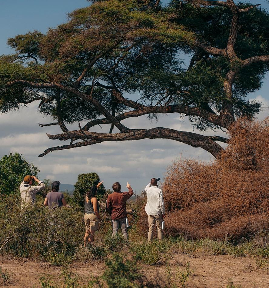 1-Day Walking Safari and Game Drive in Arusha National Park 1 bush walk arusha national park