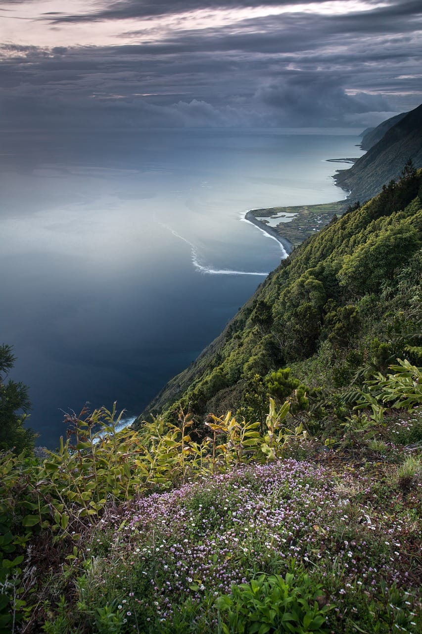 East Africa’s Most Biodiverse Parks: A Treasure Trove of Wildlife and Ecosystems 1 mountain, island, sea