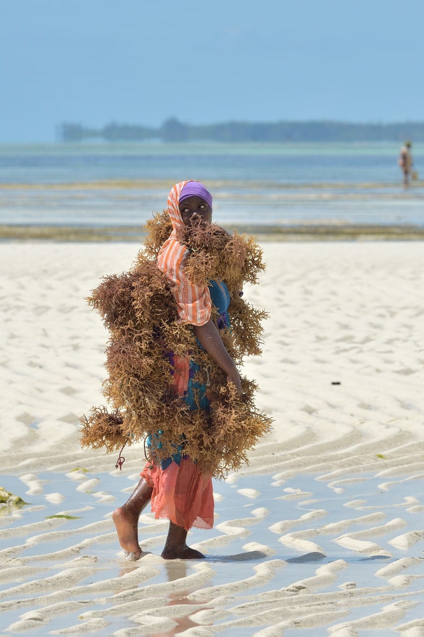 woman, algae, beach