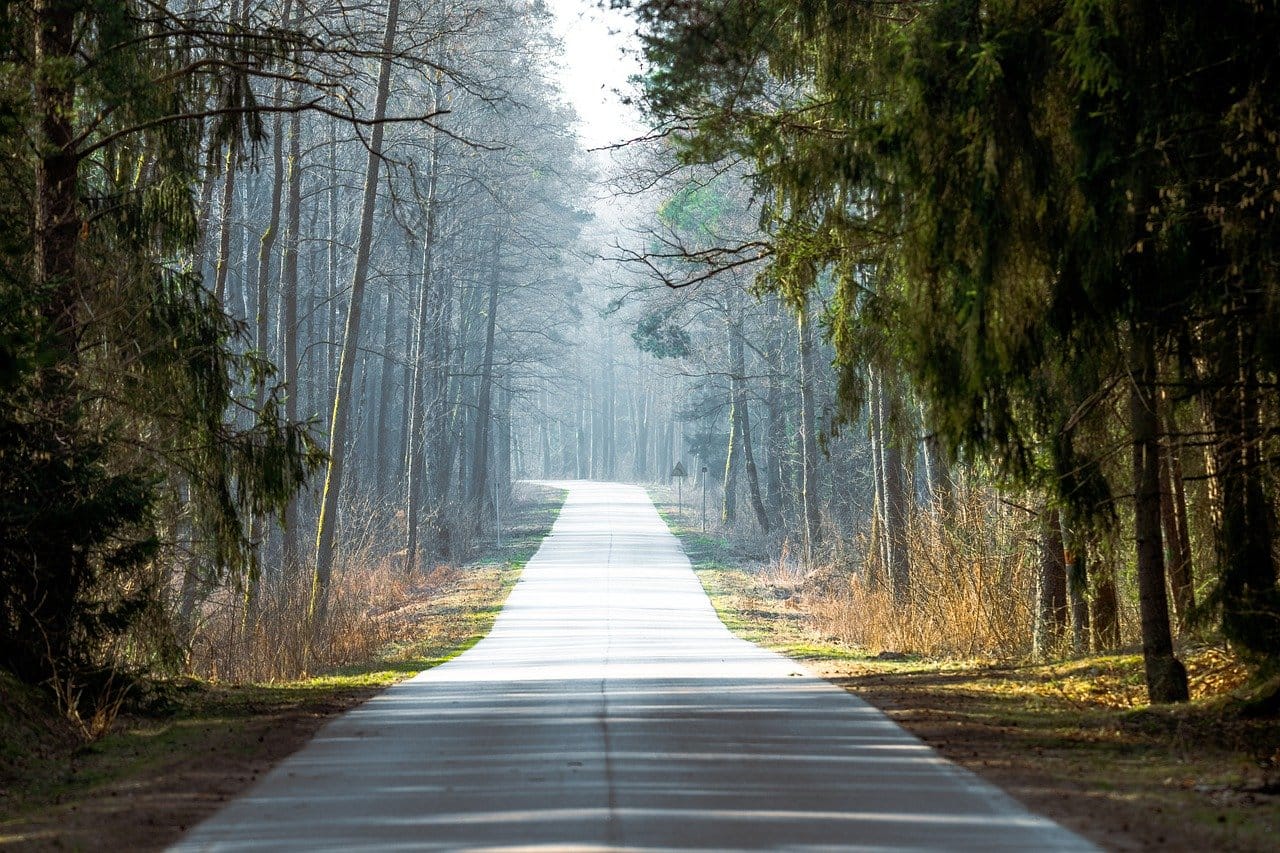 Exclusive Seasonal Safari Offers: Plan Your Dream African Adventure 1 road, poland, avenue