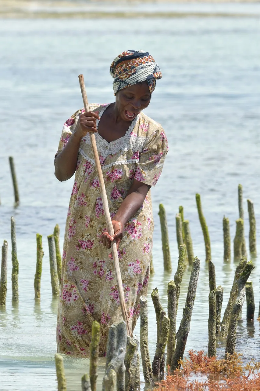 How to volunteer in Zanzibar 1 woman, algae, beach