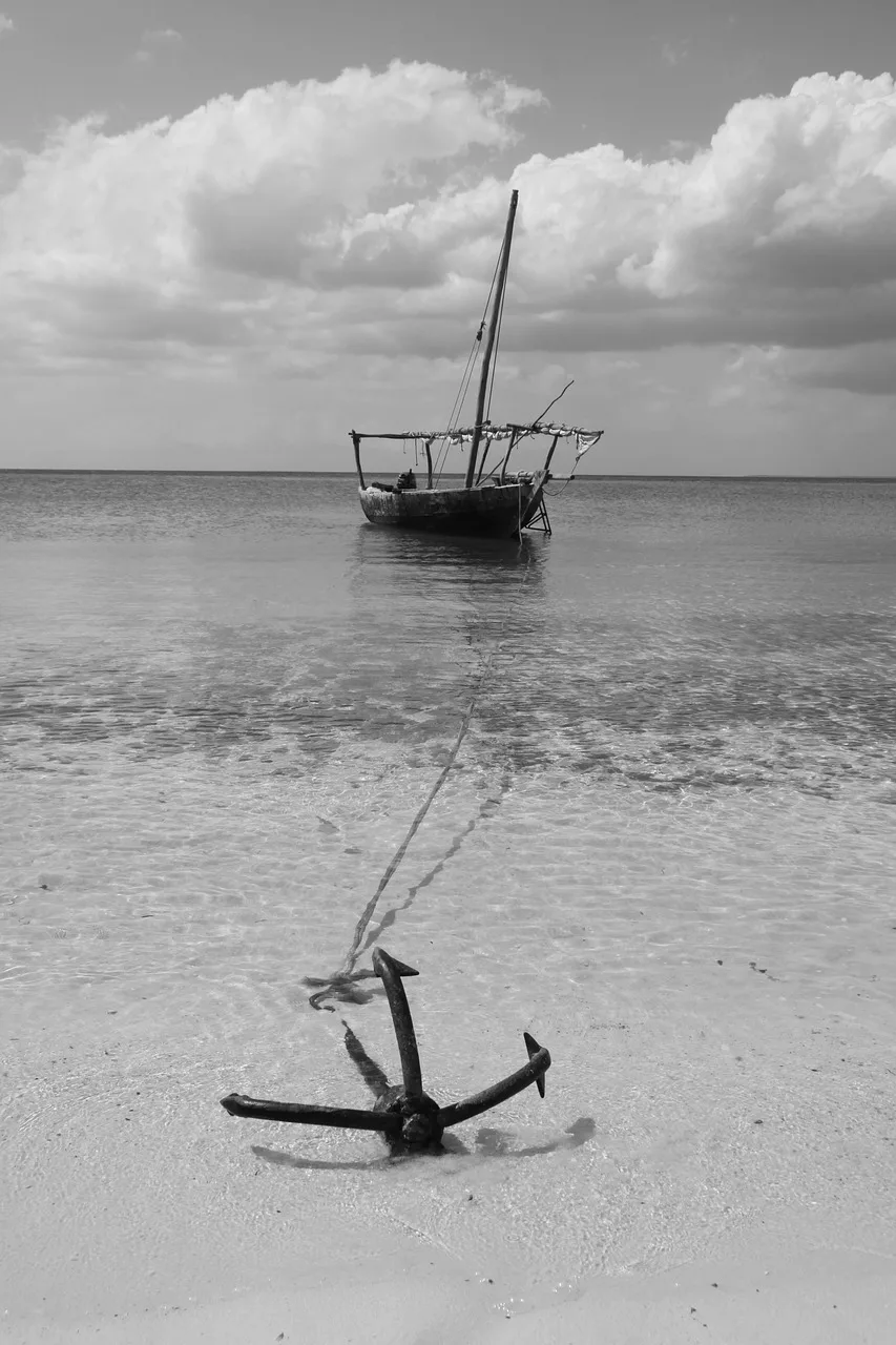 zanzibar, nature, anchor