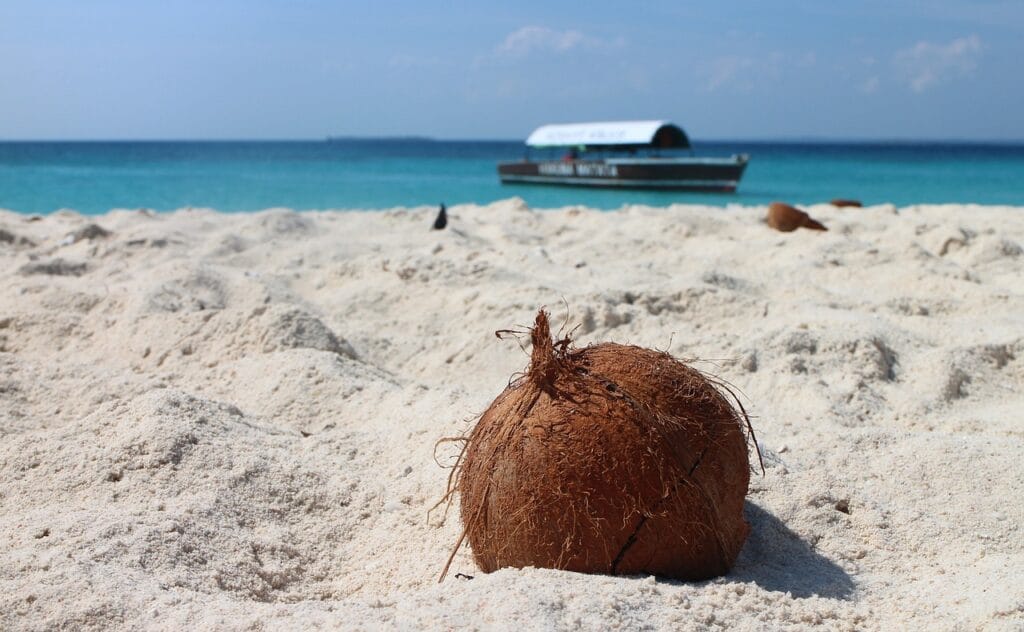 coconut, beach, sand
