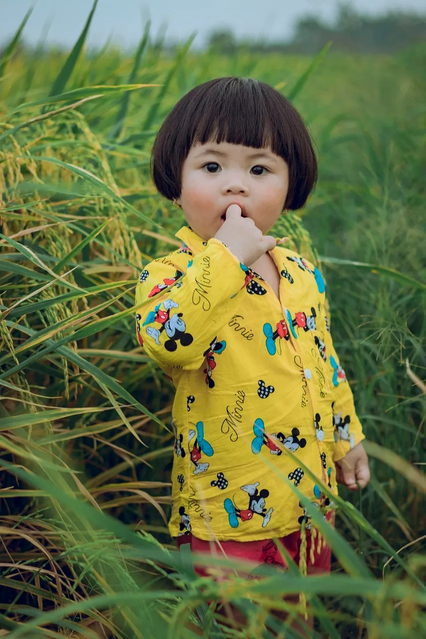 Safari clothing for kids 1 toddler, child, rice field