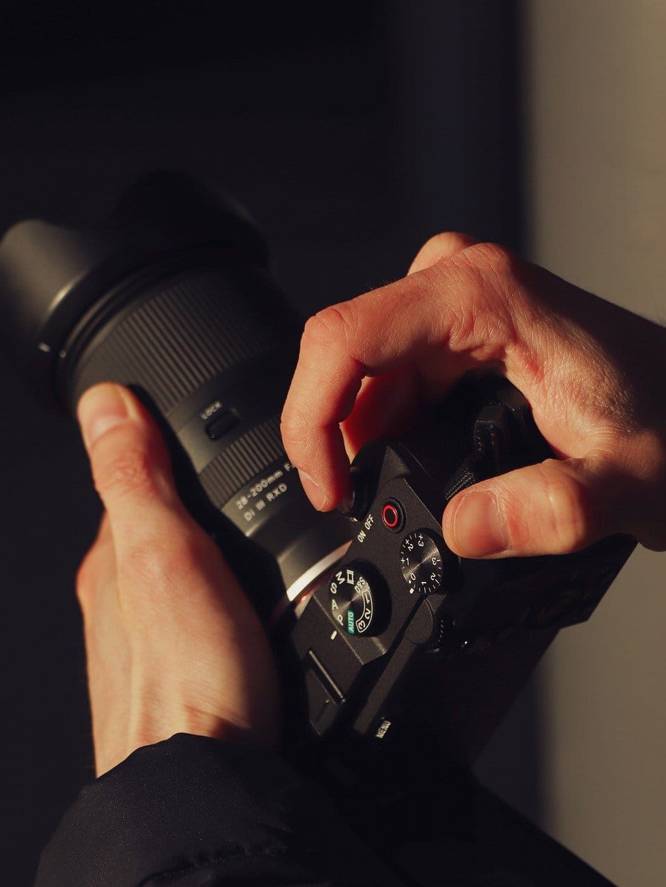 Top cameras for wildlife photography 1 camera, lens, photography