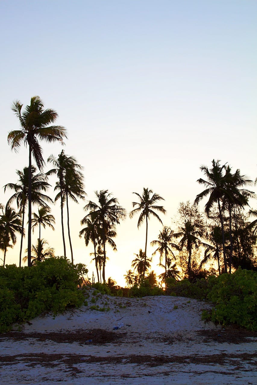 Zanzibar's Best Beaches and Safari Combinations 1 tanzania, zanzibar, africa