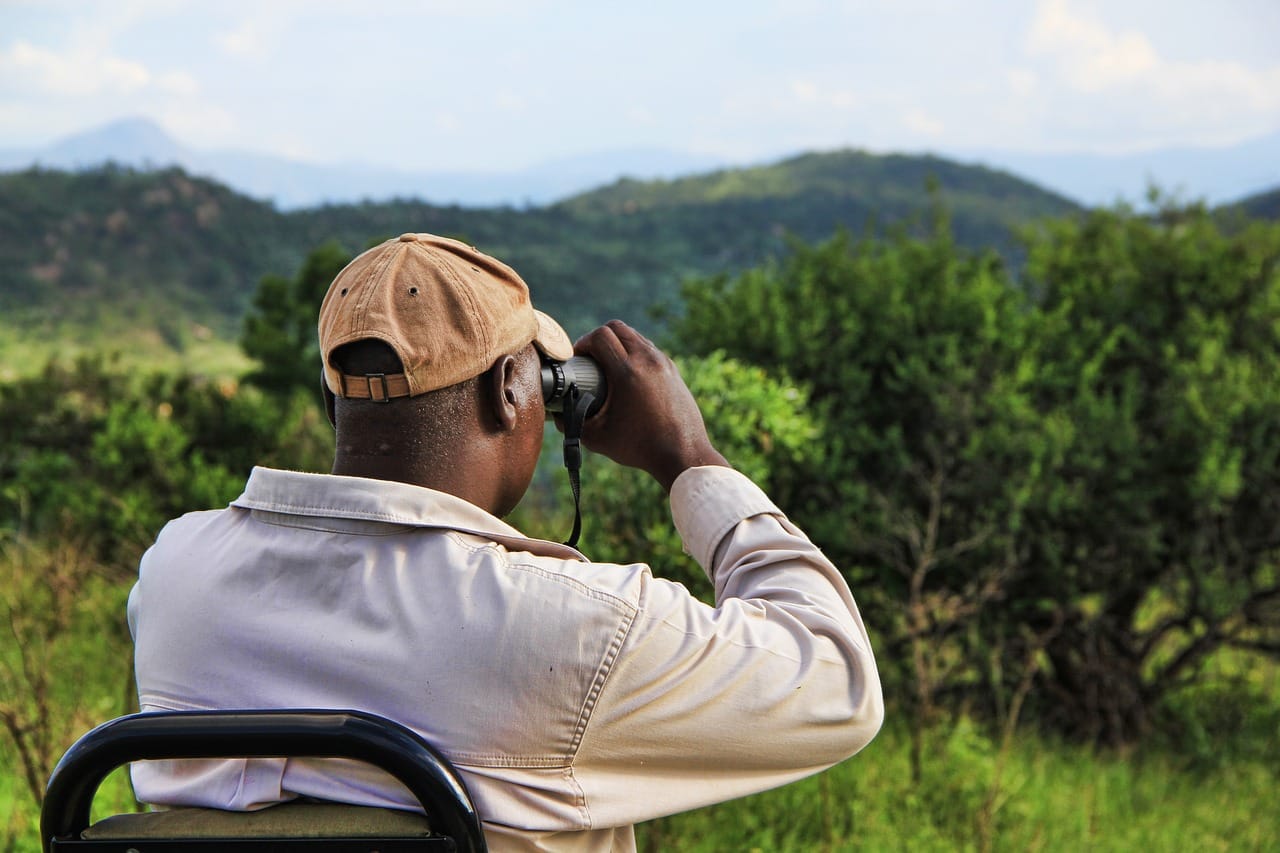 stalk, africa, binoculars