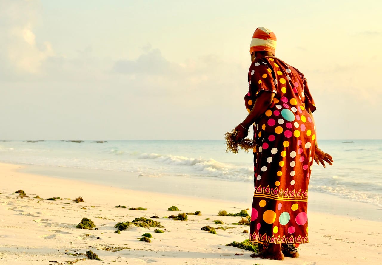 beach, ocean, nature