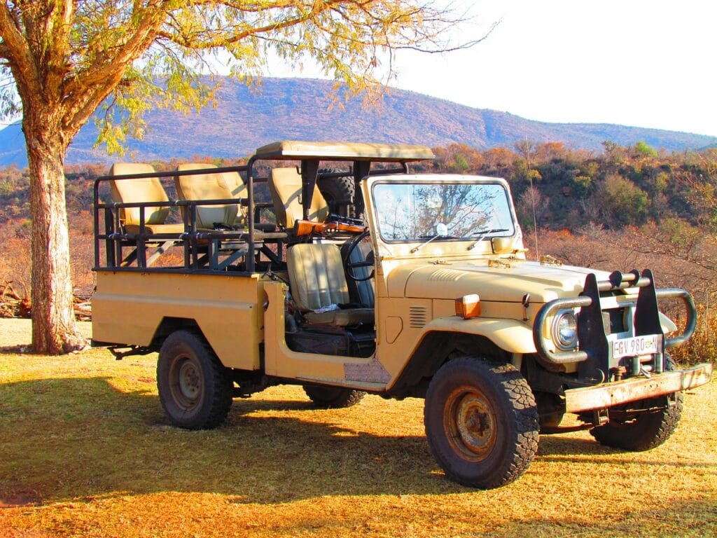 5-Day Luxury Safari with Private Jeep and Guide 7 safari, jeep, vehicle