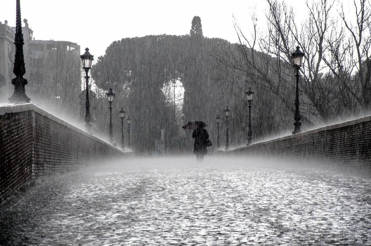 rain, wet, drops
