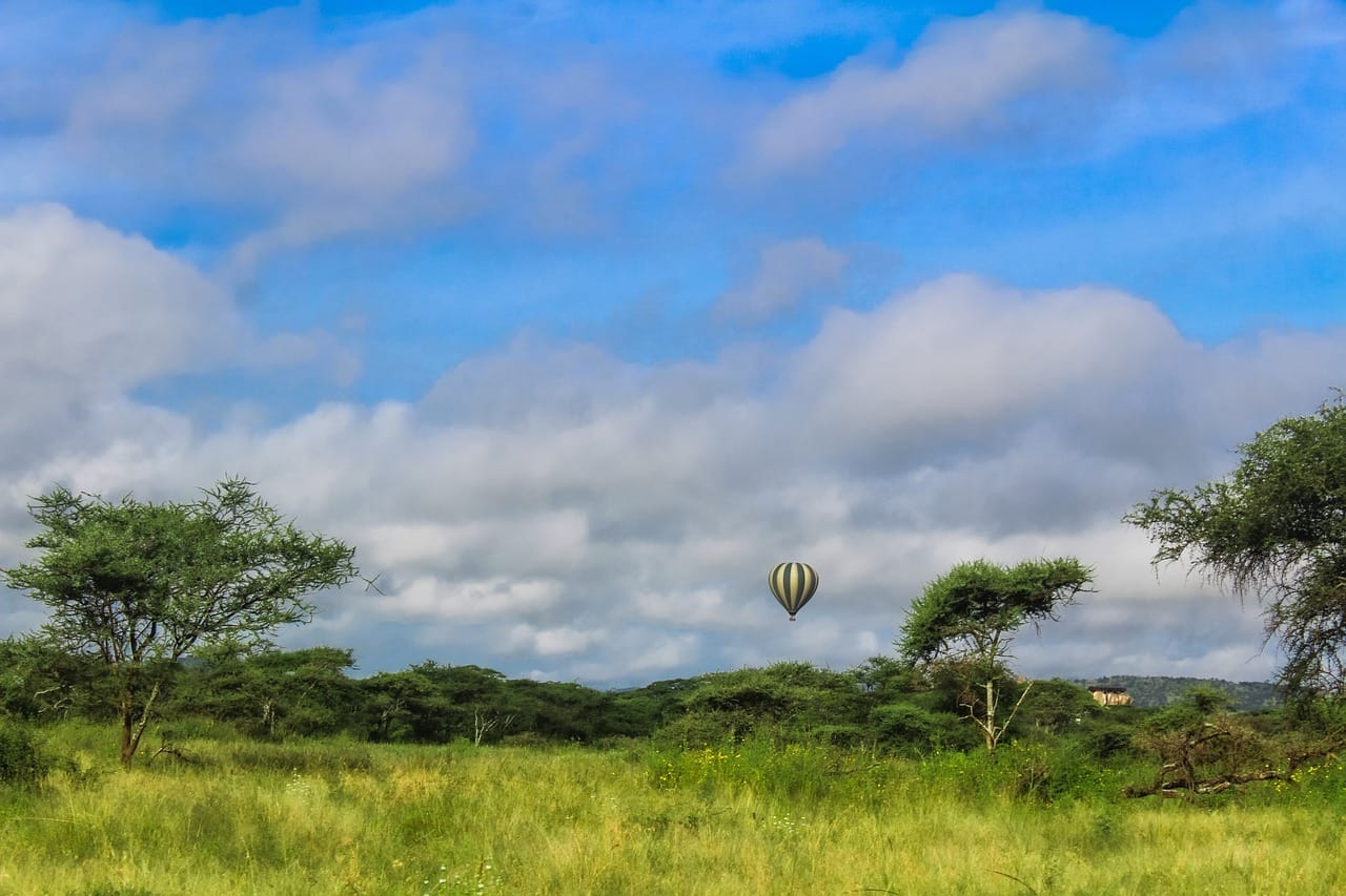 air balloon, nature, landscape