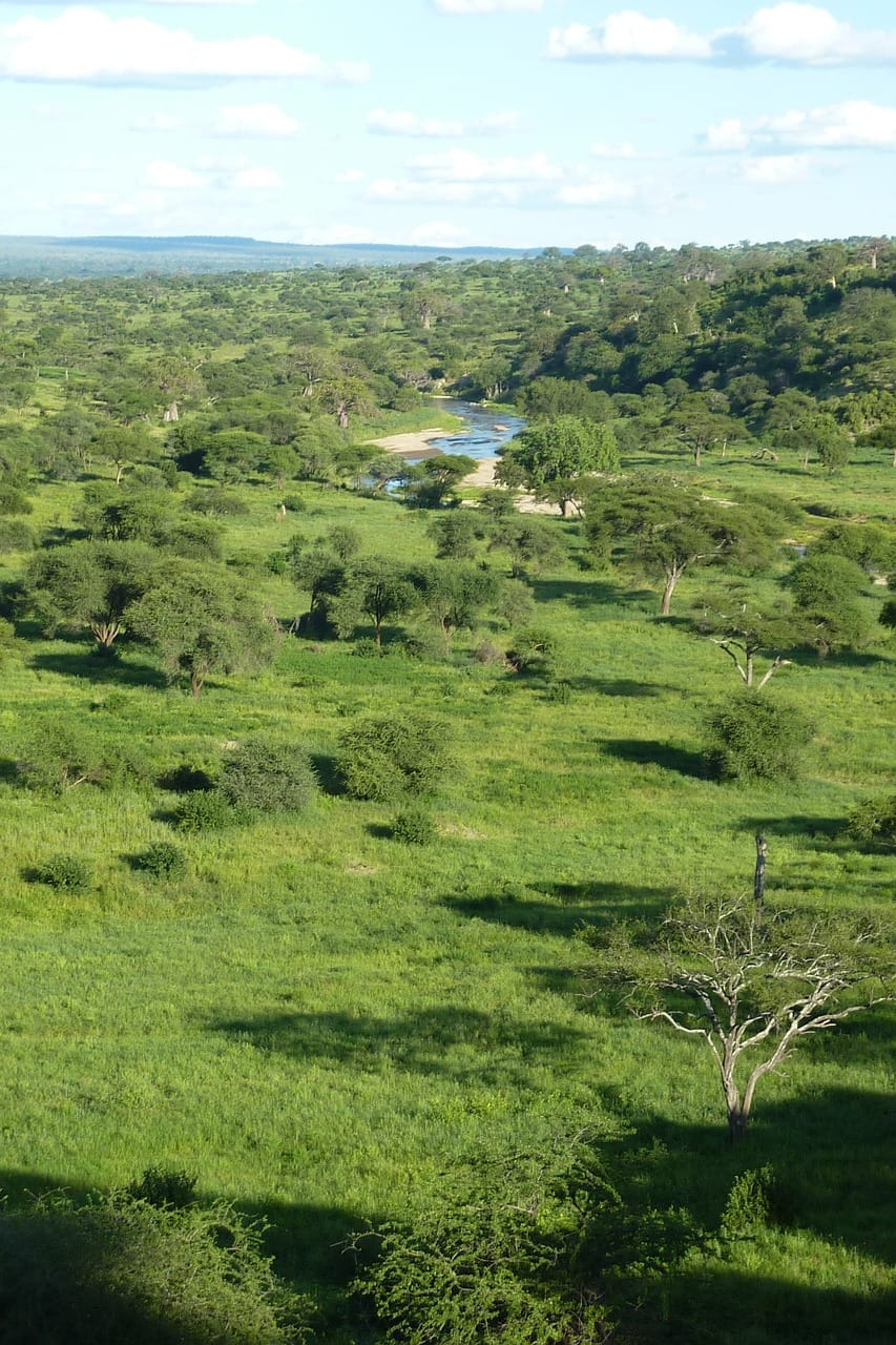 1-Day Budget Safari: Tarangire National Park Highlights 1 africa, tanzania, national park