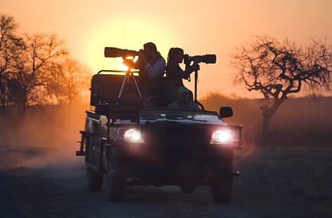 northern tanzania excursion night game park 473 311shar 50brig 20 c1